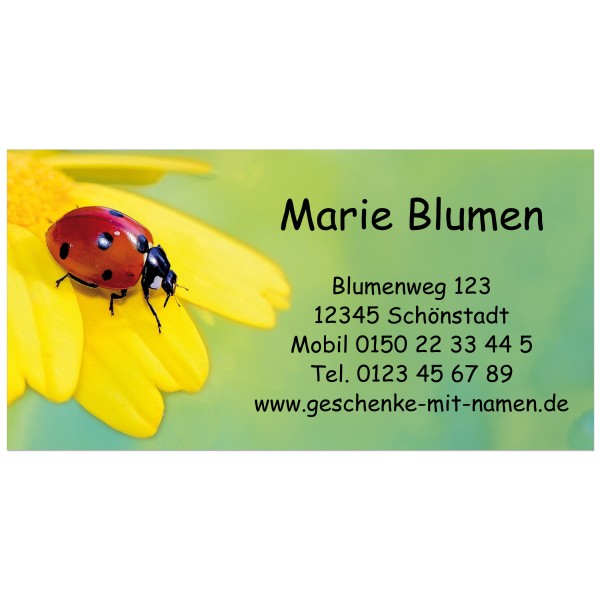 Visitenkarten Motiv Marienkäfer Blumen Blüte