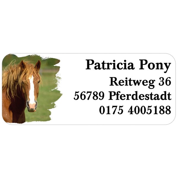 Adress-Etiketten Pony 160 Stück